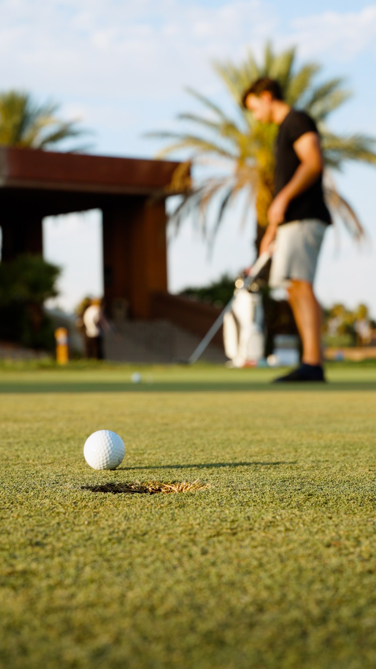 Golf course landscape